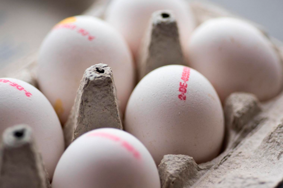 Україні дозволили продавати яйця до Японії