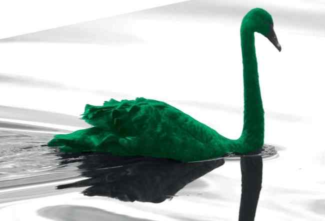 Банки обеспокоились изменением климата и опубликовали доклад «Зеленый лебедь»
