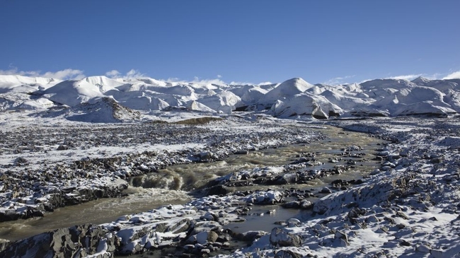 В ледниках Тибета обнаружили 28 неизвестных науке вирусов