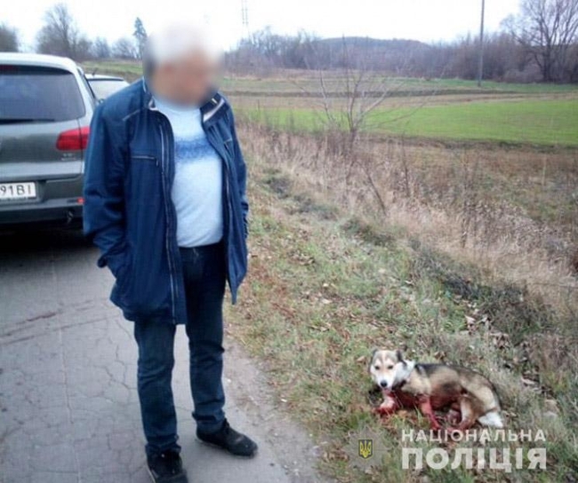 Директор облархива Байдич, который привязал к автомобилю собаку и тянул ее по дороге, уволен с выговором