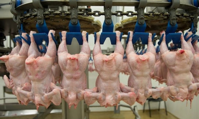 ЄС зняв заборону на імпорт української курятини