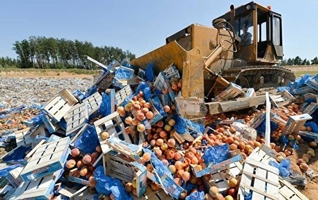 Голодная «сверхдержава»: РФ просит США оказать продовольственную помощь