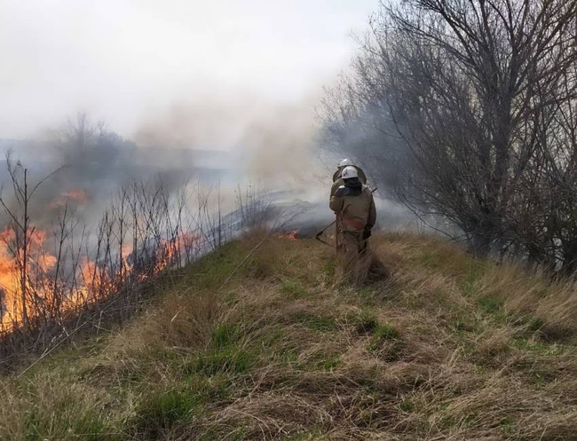 У Харківській області вогонь знищив понад 100 гектарів територій