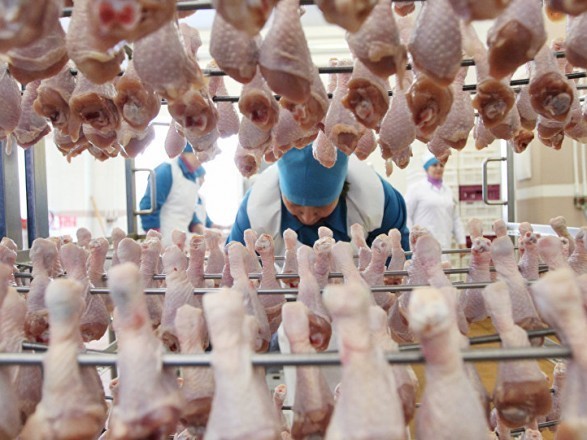 Ряд стран сняли запрет на импорт курятины из Украины