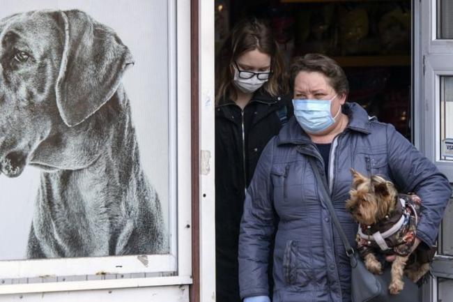Собаки, взуття і пальта: що треба дезінфікувати у часи коронавірусу?