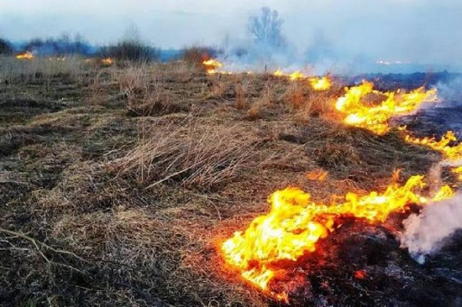 Спалення стерні та рослин на полях під забороною – Харківська обласна рада