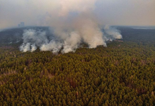 Забруднене пожежами повітря з Чорнобильської зони понесе на південь