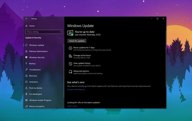 Microsoft анонсировала следующее крупное обновление Windows 10 May 2020 Update (20H1)