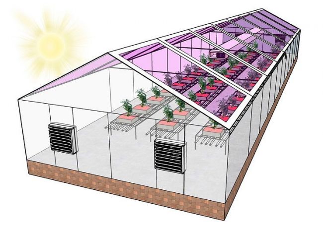 Сельскохозяйственные теплицы на солнечной энергии и с положительным энергетическим балансом