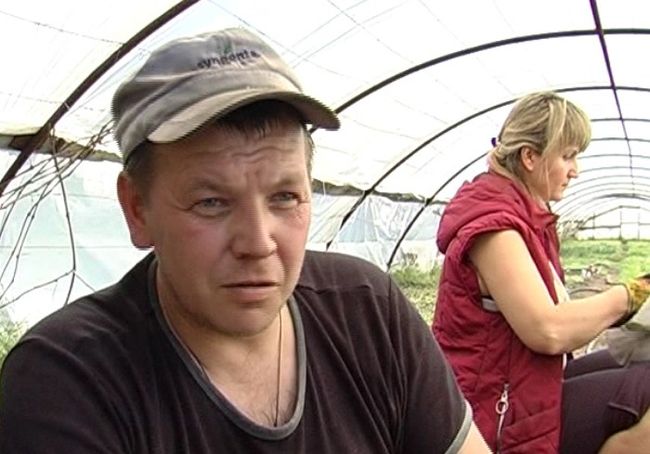Фермеры в Харьковской области несут серьезные убытки (ВИДЕО)