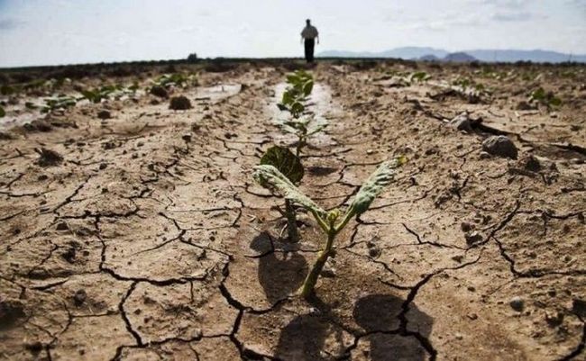 Засуха в Украине продолжается в четырех областях