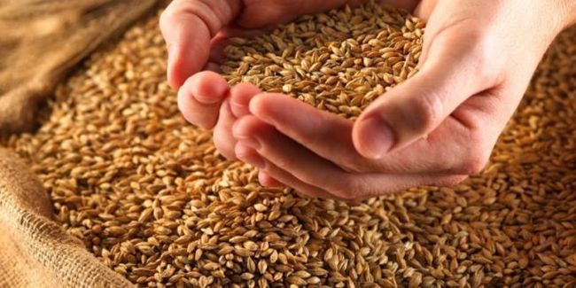 Из России за два месяца вывезли 20% запасов зерна