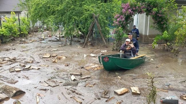 Глава Гослесагенства заявил, что вырубки не виноваты в наводнении в Карпатах