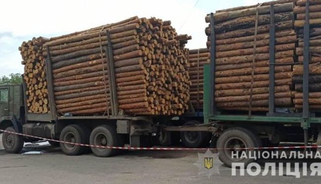 Несколько грузовиков с незаконной древесиной задержаны в Изюмском районе