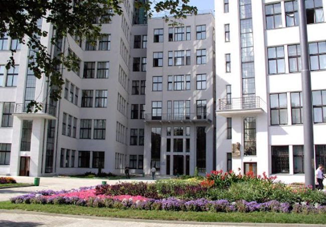 Суд в Харькове взыскал миллионы гривен за незаконную вырубку деревьев ценных пород