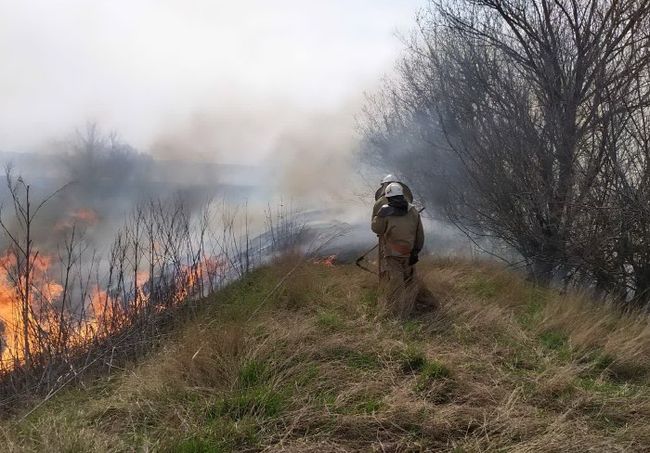 За сутки в Харьковской области сгорело 9,5 тысяч кв. м. природных территорий