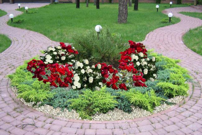 Харьковчане выкапывают цветы с городских клумб (ФОТО)