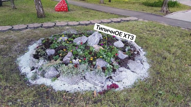 Харьковчане выкапывают цветы с городских клумб (ФОТО)