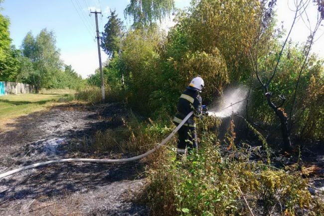 Харьковские спасатели предупреждают о чрезвычайном уровне пожарной опасности (ФОТО)