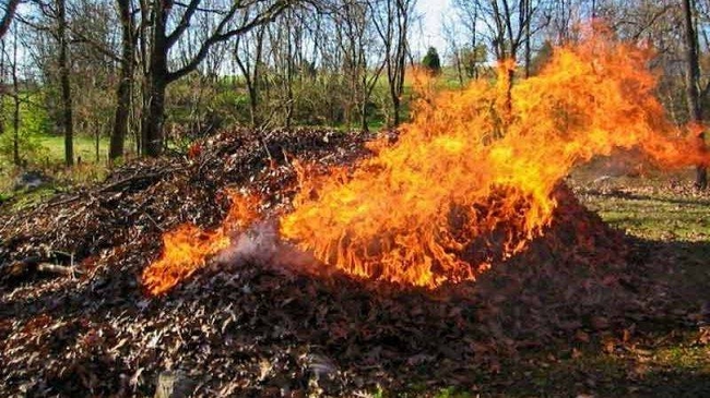 Підпалив – заплати: скільки коштує багаття із сухої трави