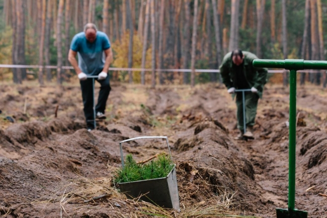 На Харківщині за один день було висаджено майже 40 тис. дерев (ФОТО, ВІДЕО)