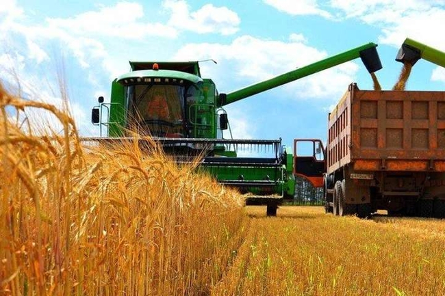 Жнива-2020: В Україні зібрано 45,7 млн тонн зерна