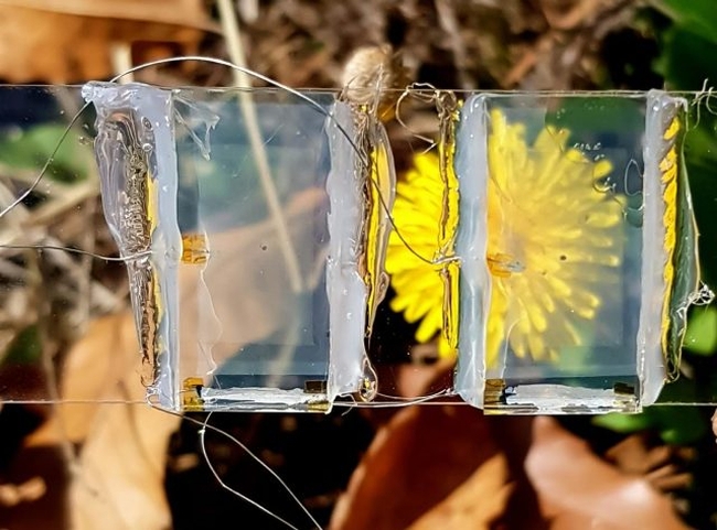 Южнокорейские ученые создали прозрачный солнечный элемент для электронных устройств