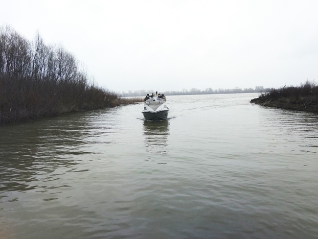 Прикордонники України та Румунії відновили спільні патрулювання державного кордону на річці Дунай