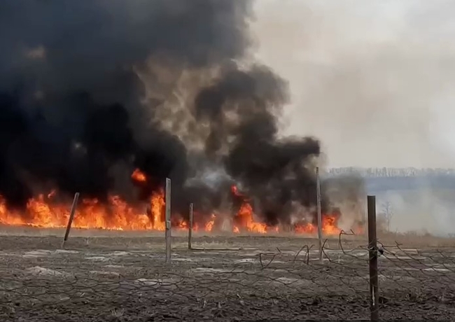 Горит со всех сторон: в Харькове - масштабные пожары (ВИДЕО)