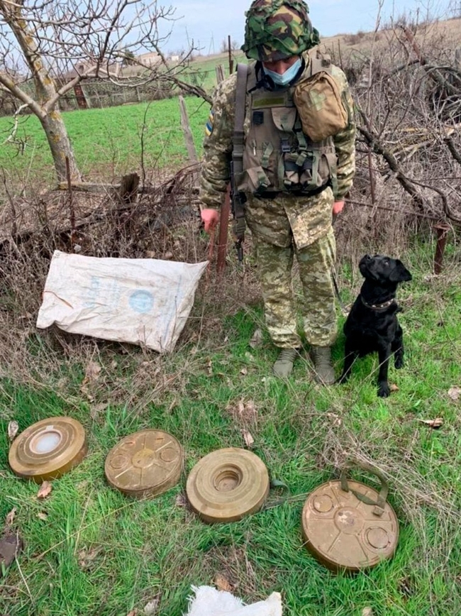 Неподалік Маріуполя службовий пес прикордонників допоміг виявити схрон з мінами