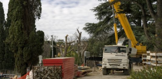 Окупанти продовжують знищувати дерева у знаменитому Фороському парку: що відбувається
