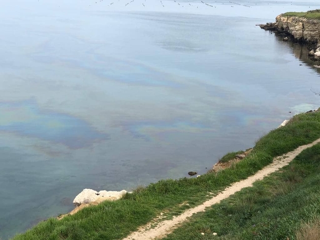 «Огромное пятно дизтоплива в море»: в оккупированном Крыму произошла экологическая катастрофа