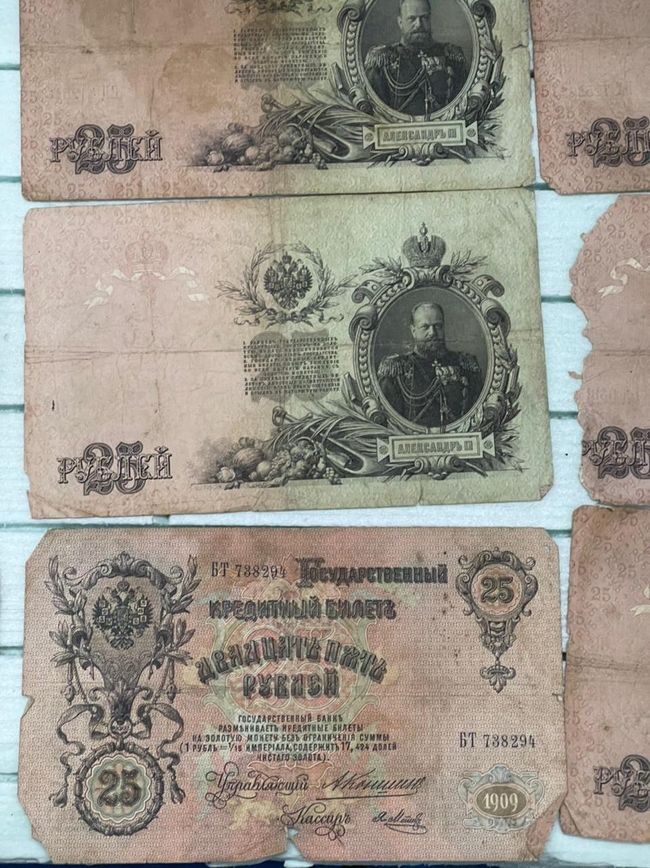 На кордоні з Румунією вилучили колекцію старовинних монет та банкнот (ВІДЕО)