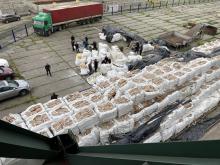 ДФС виявила контрабанду в Миколаївському порту на мільйони