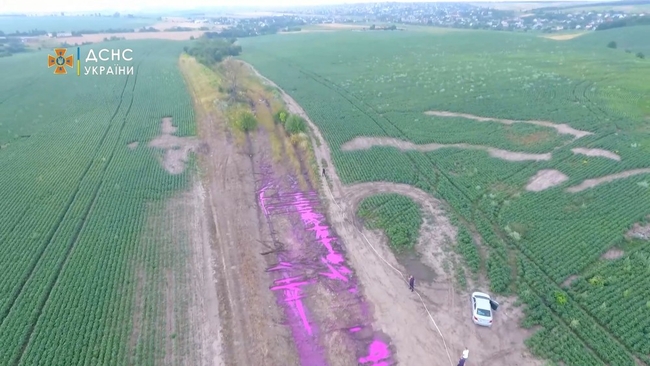 В поле под Ровно обнаружили разлив ядовито-фиолетовой жидкости (ФОТО, ВИДЕО)