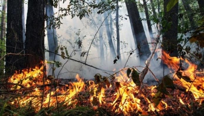 Найвищий рівень пожежної небезпеки оголосили в Харківській області