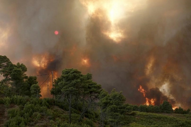 Греция в огне: лесные пожары вышли из-под контроля (ФОТО, ВИДЕО)