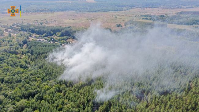 Харьковские спасатели потушили лесной пожар (ФОТО)