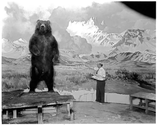 Официальный твиттер-аккаунт России прифотошопил медведя Аляски из музея США на коллаж с Путиным