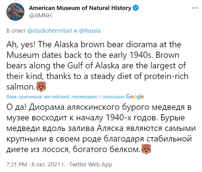 Официальный твиттер-аккаунт России прифотошопил медведя Аляски из музея США на коллаж с Путиным