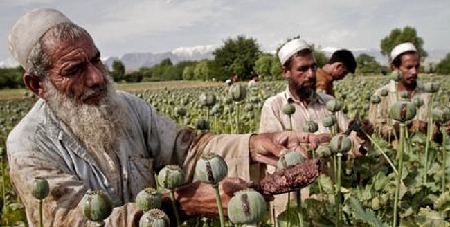 ООН збирає світом 4,4 мільярда євро на допомогу Афганістану