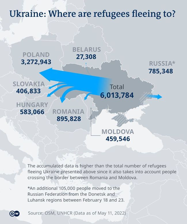 Украина: куда уезжают беженцы