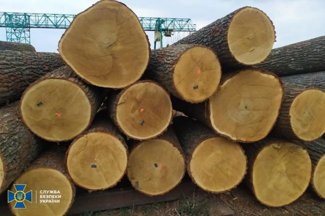СБУ ліквідувала схему незаконного експорту державного лісу через підсанкційні компанії Фірташа