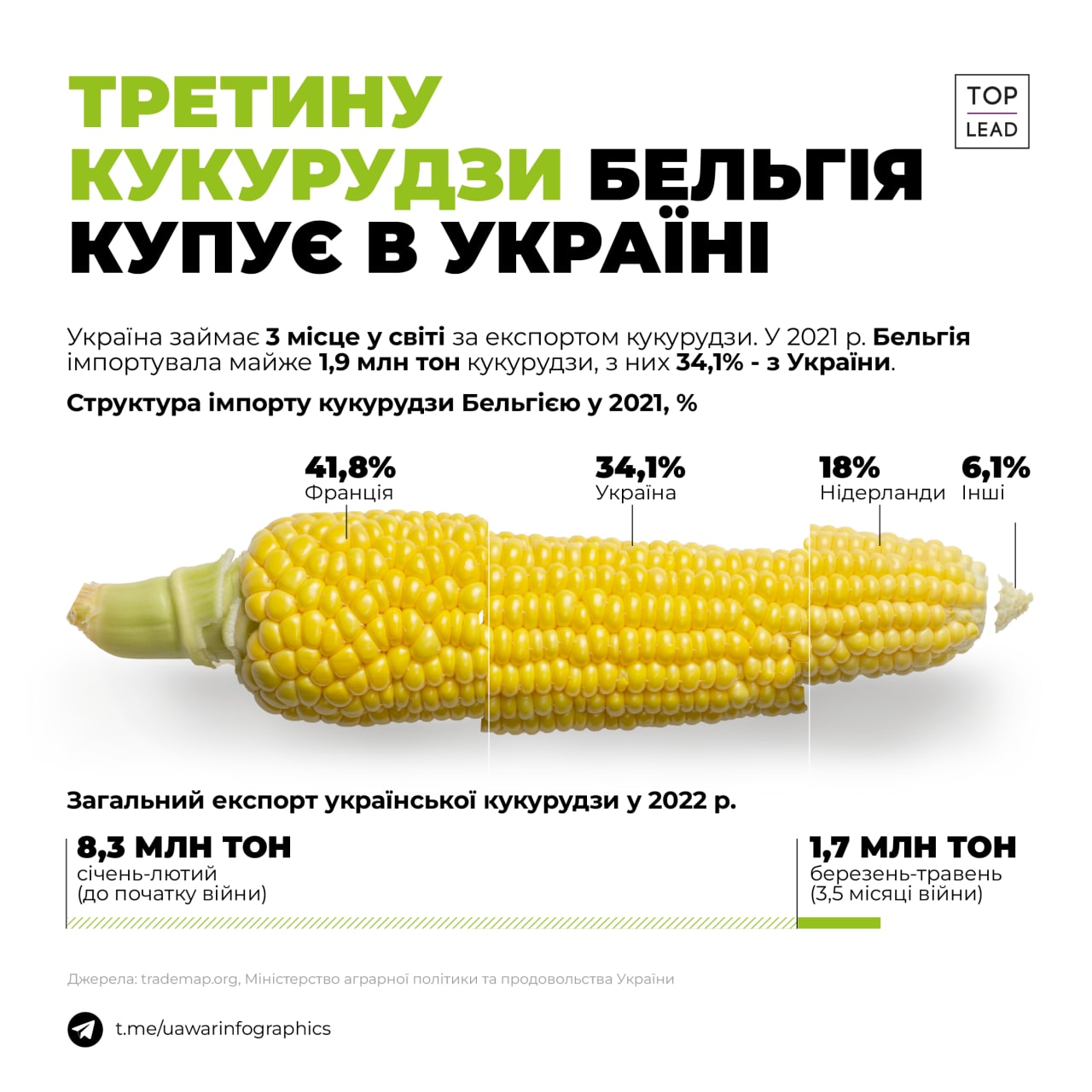 Бельгія імпортує третину кукурудзи з України