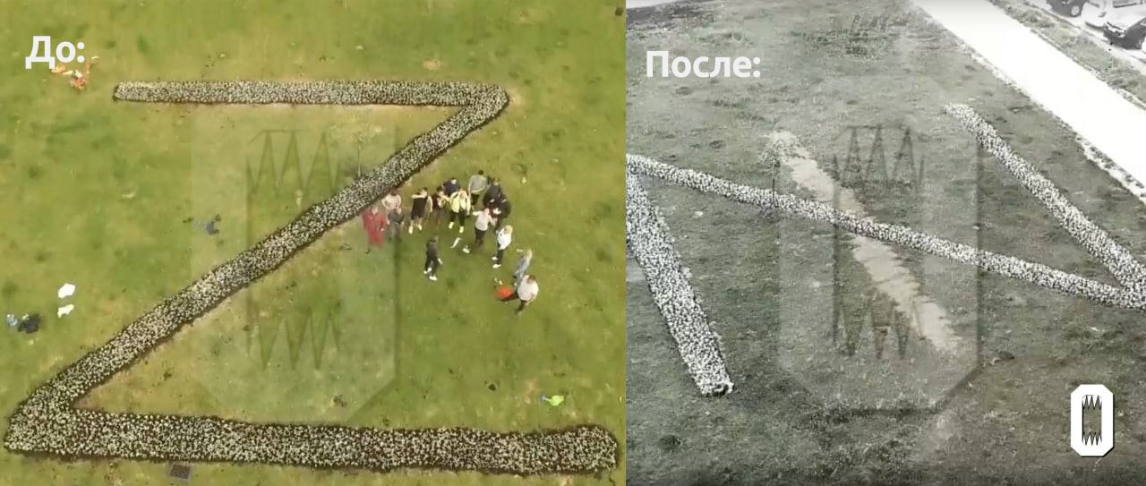 В Подмосковье неизвестные превратили Z-клумбу в символ «Азова»