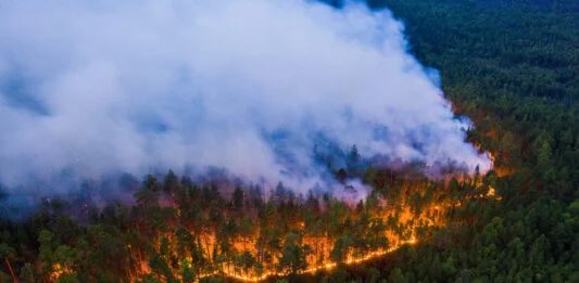 Пожары в Сибири: сгорело уже более миллиона гектаров леса (ИНФОГРАФИКА)