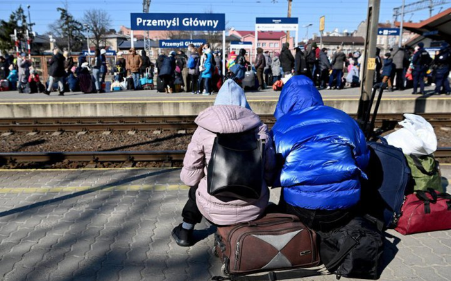 Європа абсорбує українських мігрантів… не упускаючи свого інтересу