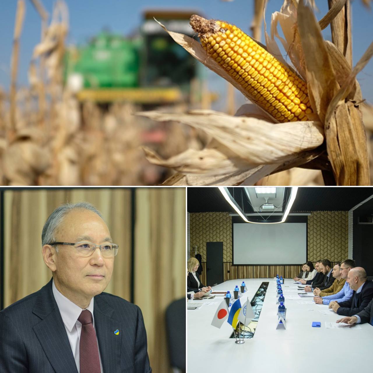 Япония обеспечит фермеров Харьковщины семенами подсолнечника и кукурузы