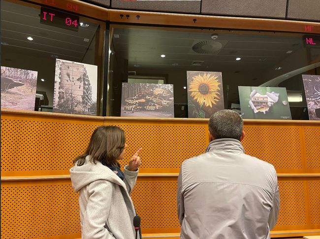 В Европарламенте провели показ, посвященный войне в Украине (ФОТО)