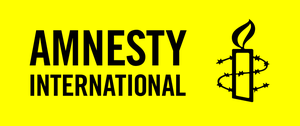 «Суттєві недоліки» у доповіді Amnesty International про ЗСУ
